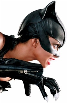 Catwoman, tratto da www.inkworkscards.com